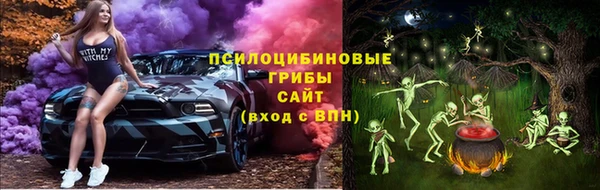 ALPHA PVP Богородицк